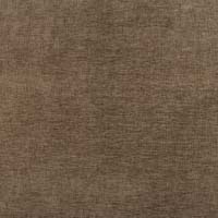 #11231 Essay Cocoa